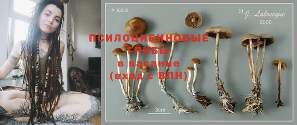 стафф Гусь-Хрустальный