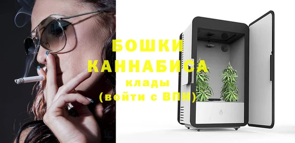стафф Гусь-Хрустальный