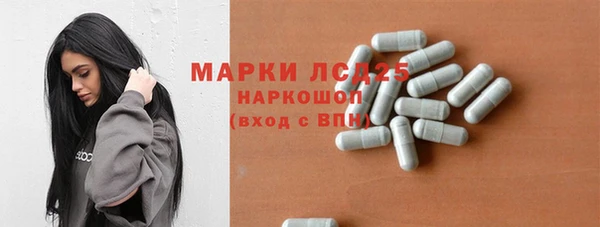 PSILOCYBIN Гусиноозёрск