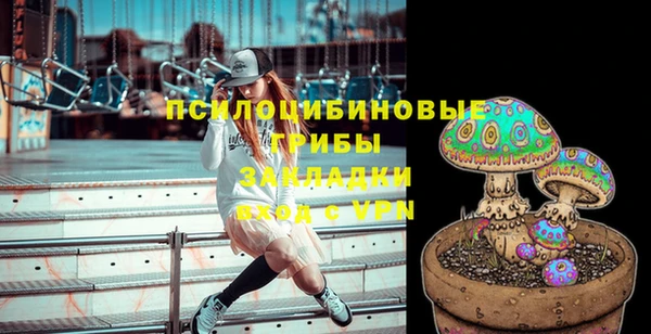 PSILOCYBIN Гусиноозёрск