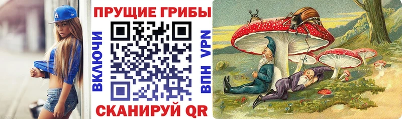 Галлюциногенные грибы Cubensis  Купить закладки  Калач 